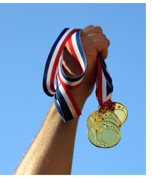 2014 Sales Gold Medal Winner