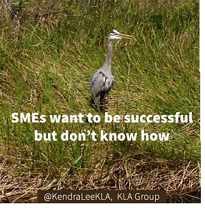 Put Context into the SME Role